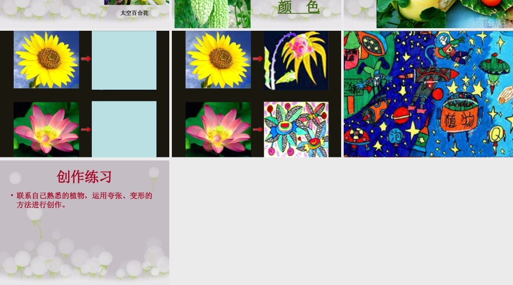 人教版一年级小学美术课件-《太空里的植物》课件3.ppt