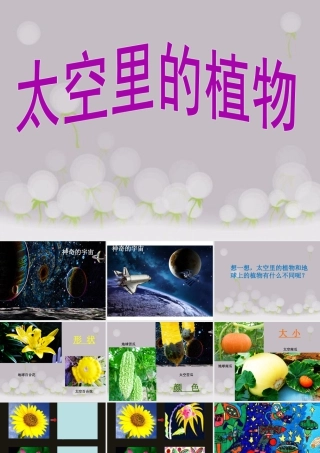 人教版一年级小学美术课件-《太空里的植物》课件3.ppt