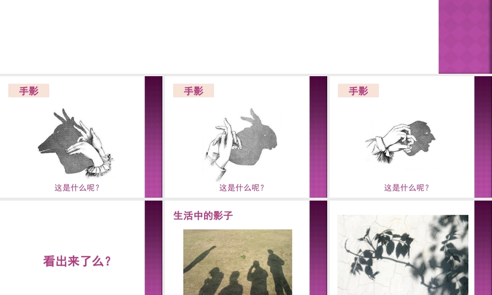 人教版一年级小学美术课件-《影子的游戏》课件2.ppt