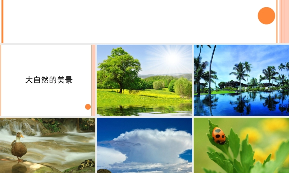 人教版一年级小学美术课件-《走近大自然》课件2.ppt