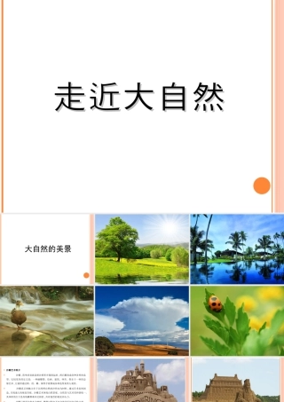 人教版一年级小学美术课件-《走近大自然》课件2.ppt
