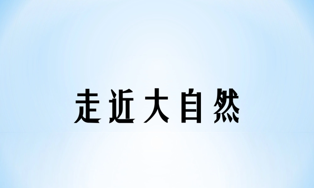 人教版一年级小学美术课件-《走近大自然》课件3.ppt
