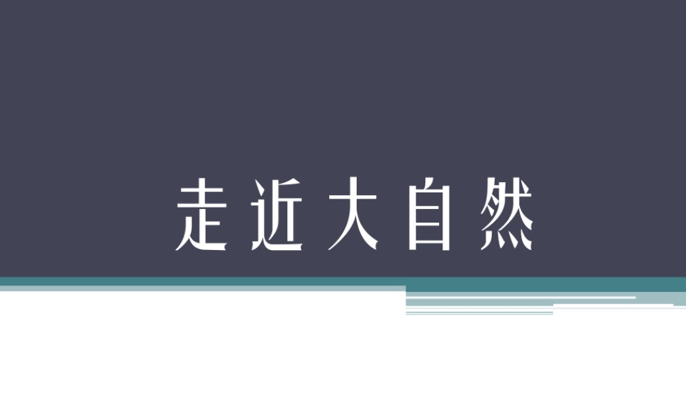 人教版一年级小学美术课件-《走近大自然》课件4.ppt