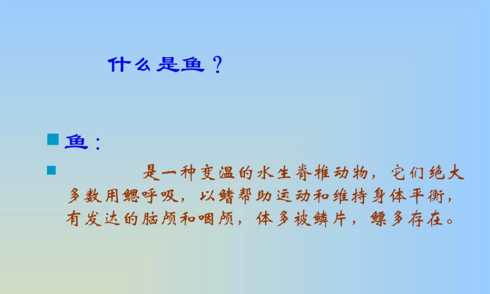 人教版一年级小学美术课件-不同鱼的形态.ppt