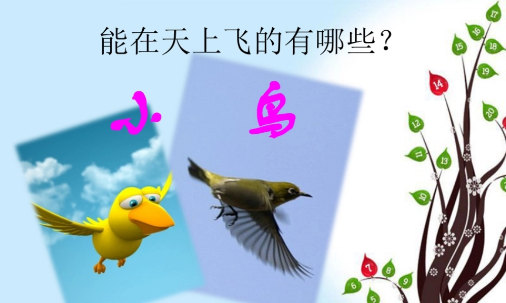 人教版一年级小学美术课件-飞行的姿态.ppt