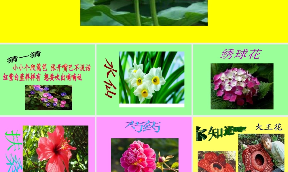 人教版一年级小学美术课件-花儿寄深情3.ppt