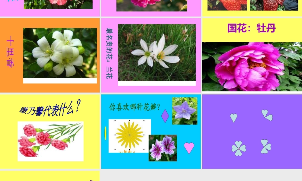 人教版一年级小学美术课件-花儿寄深情3.ppt