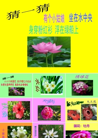 人教版一年级小学美术课件-花儿寄深情3.ppt