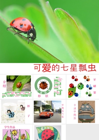 人教版一年级小学美术课件-可爱的七星瓢虫.ppt