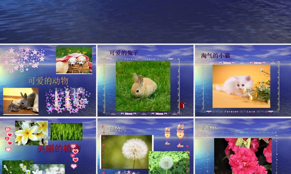 人教版一年级小学美术课件-美丽的植物和动物1.ppt