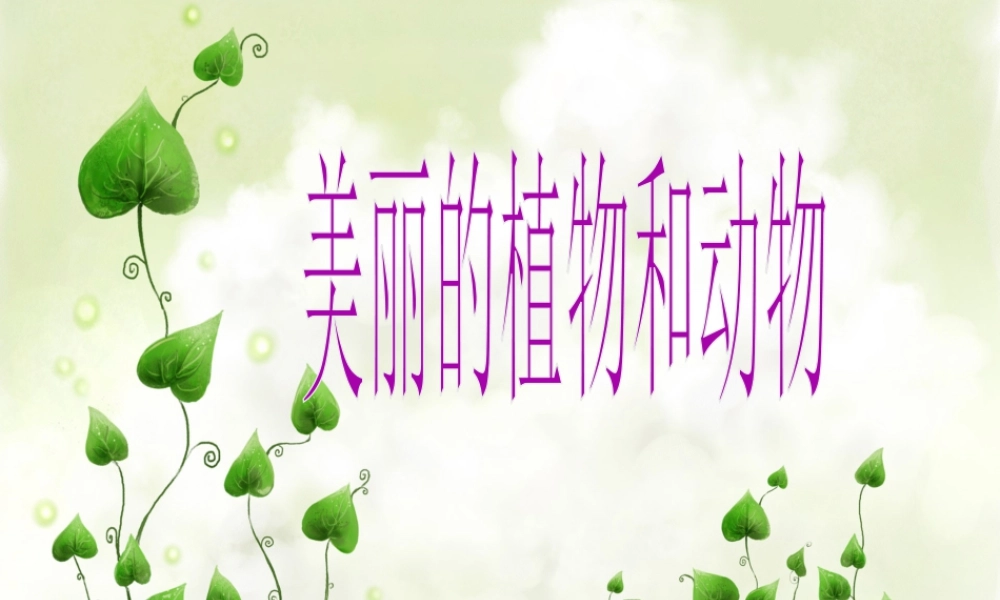 人教版一年级小学美术课件-美丽的植物和动物2.ppt