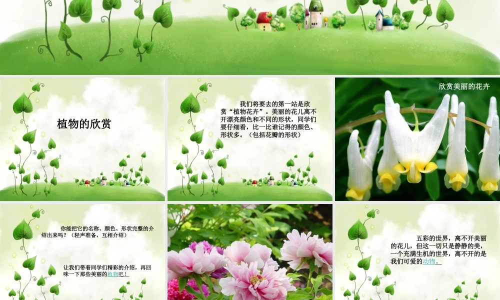 人教版一年级小学美术课件-美丽的植物和动物2.ppt