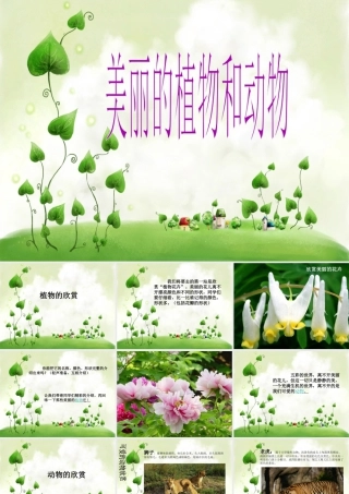 人教版一年级小学美术课件-美丽的植物和动物2.ppt