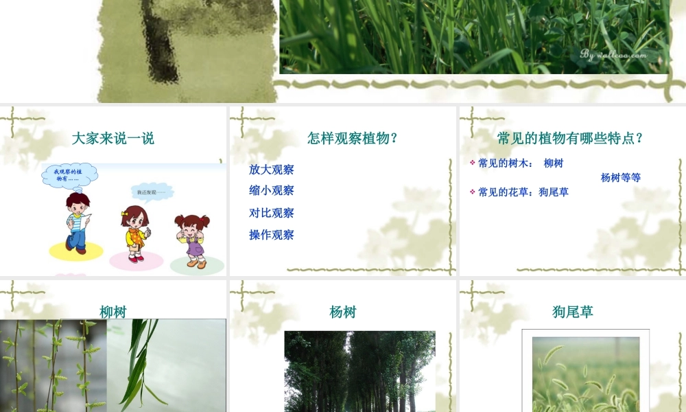 人教版一年级小学美术课件-美丽的植物和动物3.ppt