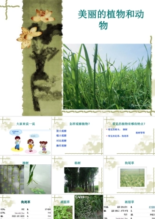 人教版一年级小学美术课件-美丽的植物和动物3.ppt