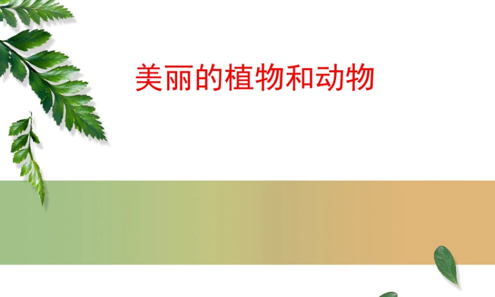 人教版一年级小学美术课件-美丽的植物和动物4.ppt