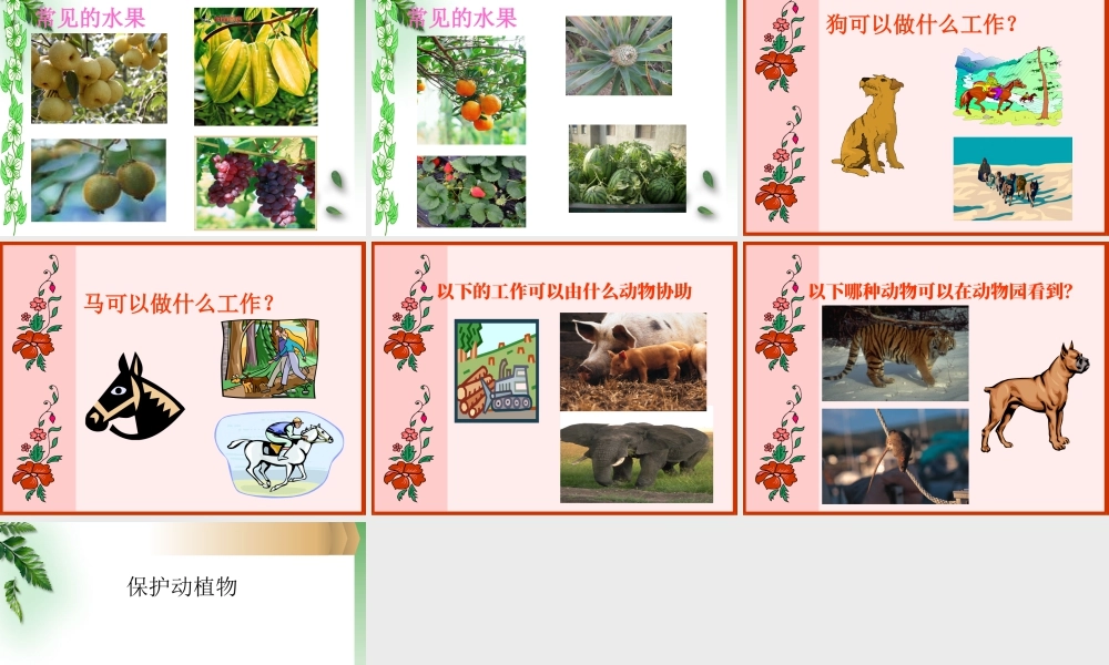 人教版一年级小学美术课件-美丽的植物和动物4.ppt