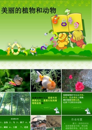 人教版一年级小学美术课件-美丽的植物和动物5.ppt