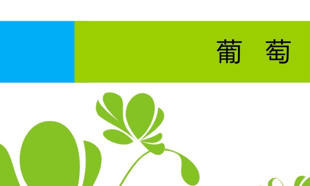 人教版一年级小学美术课件-葡萄品种大全.ppt