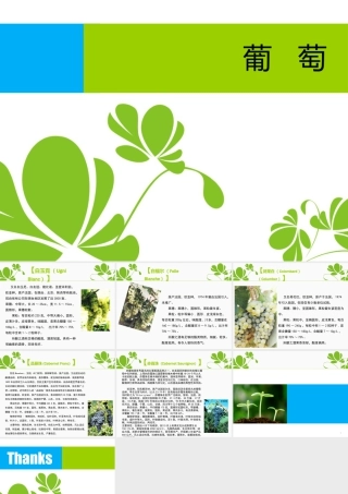 人教版一年级小学美术课件-葡萄品种大全.ppt