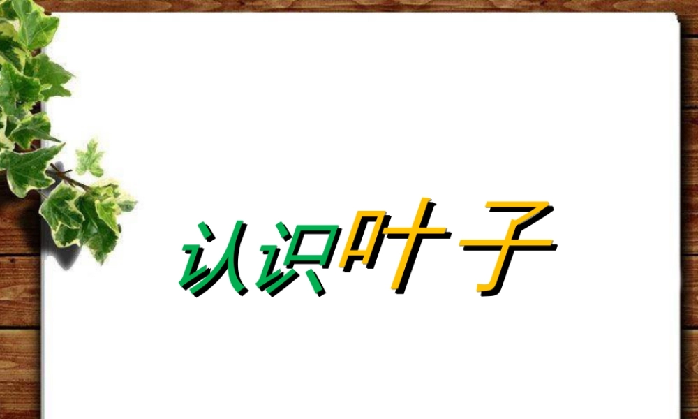 人教版一年级小学美术课件-认识叶子.ppt