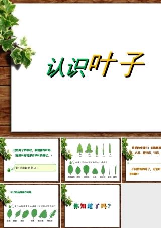 人教版一年级小学美术课件-认识叶子.ppt