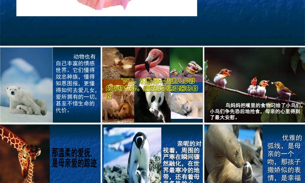 人教版一年级小学美术课件-伟大的母爱.ppt