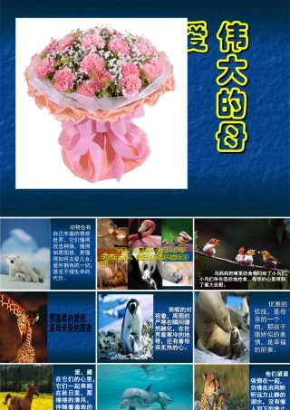 人教版一年级小学美术课件-伟大的母爱.ppt