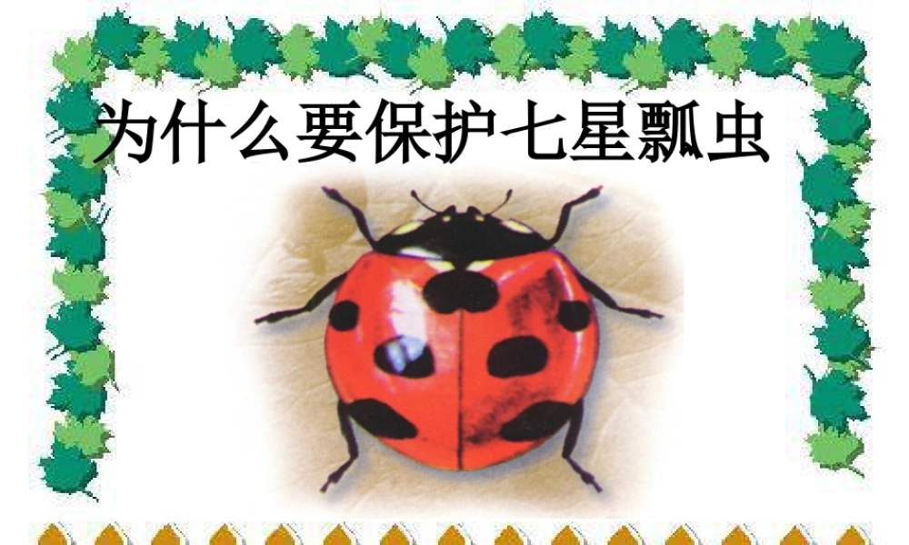 人教版一年级小学美术课件-为什么要保护七星瓢虫.ppt