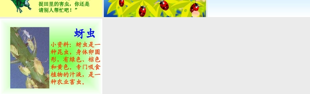 人教版一年级小学美术课件-为什么要保护七星瓢虫.ppt