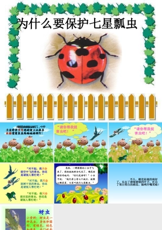 人教版一年级小学美术课件-为什么要保护七星瓢虫.ppt