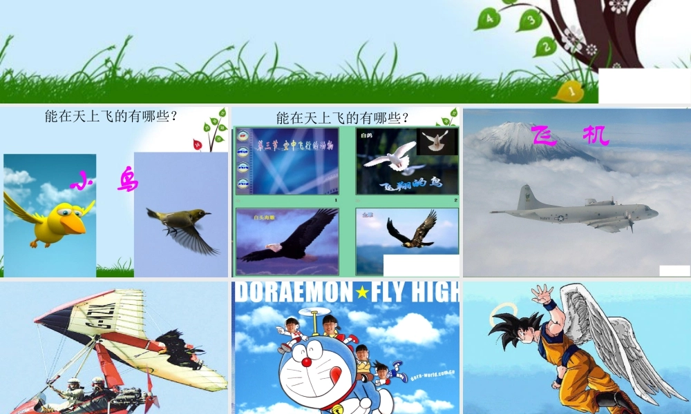 人教版一年级小学美术课件-我在空中飞 3.ppt