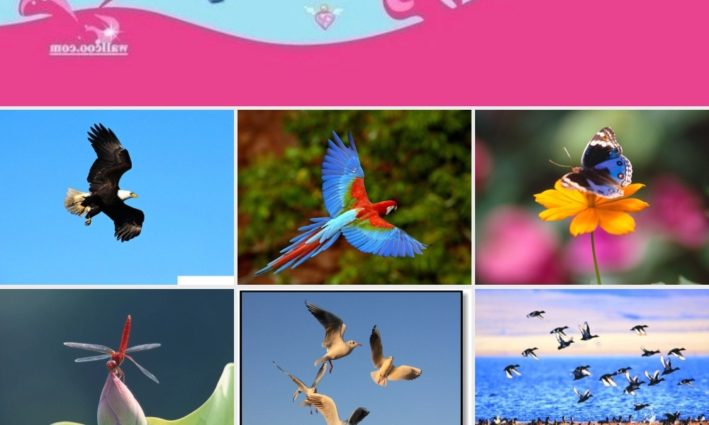 人教版一年级小学美术课件-我在空中飞 5.ppt