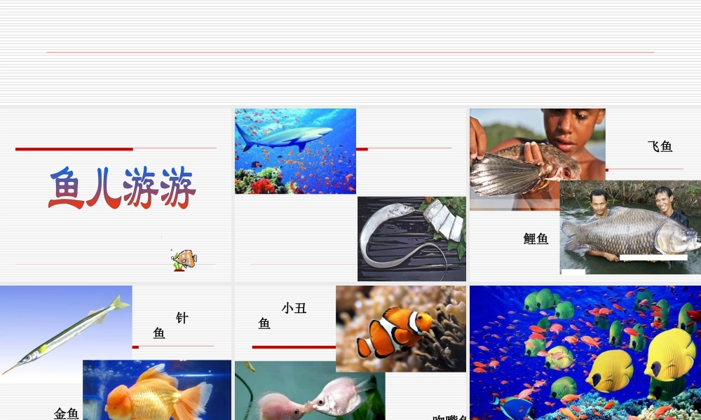 人教版一年级小学美术课件-鱼儿游游3.ppt