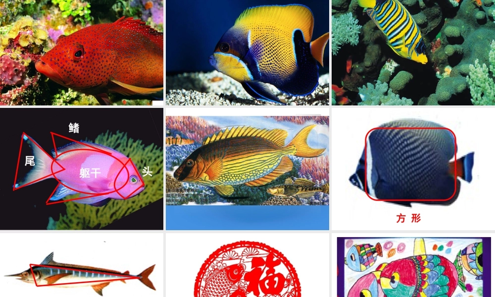 人教版一年级小学美术课件-鱼儿游游5.ppt