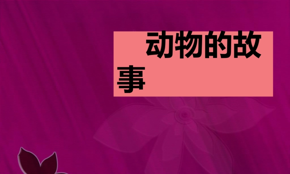 人教版二年级小学美术课件-《动物的故事》课件2.ppt