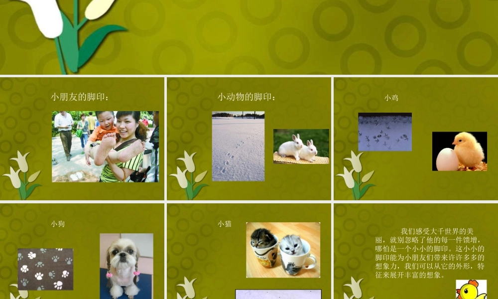 人教版二年级小学美术课件-《脚印的联想》课件1.ppt