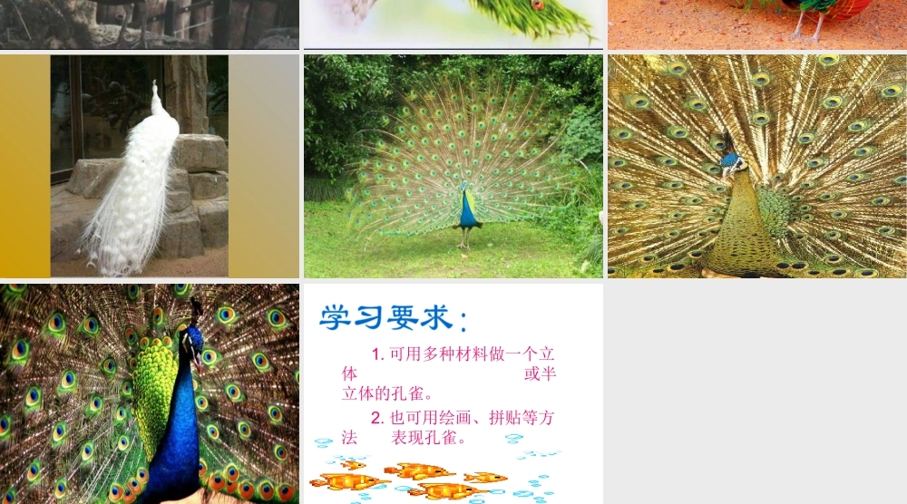 人教版二年级小学美术课件-《美丽孔雀》课件1.ppt