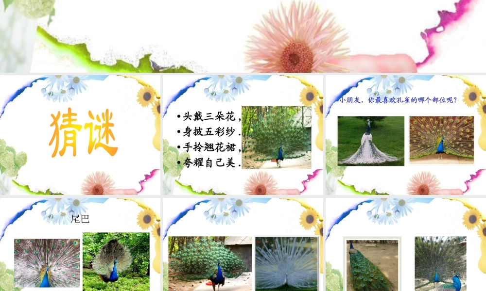 人教版二年级小学美术课件-《美丽孔雀》课件2.ppt