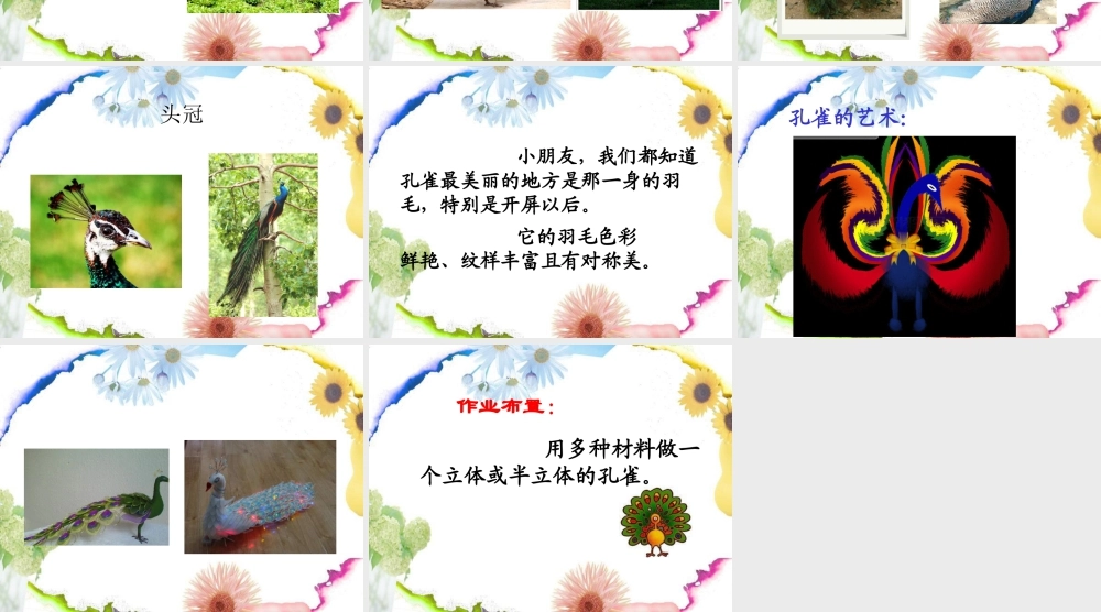 人教版二年级小学美术课件-《美丽孔雀》课件2.ppt