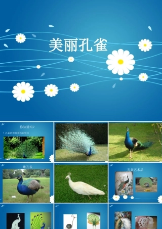 人教版二年级小学美术课件-《美丽孔雀》课件3.ppt