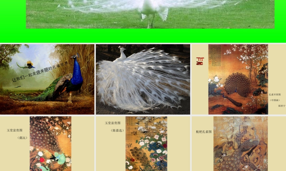 人教版二年级小学美术课件-《美丽孔雀》课件4.ppt