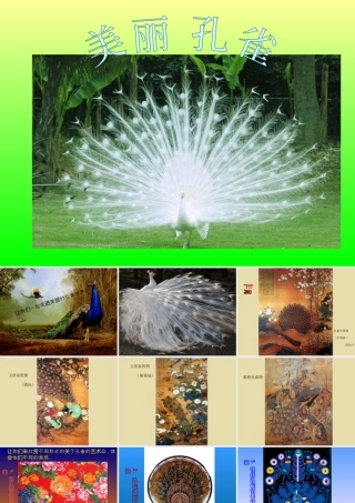 人教版二年级小学美术课件-《美丽孔雀》课件4.ppt