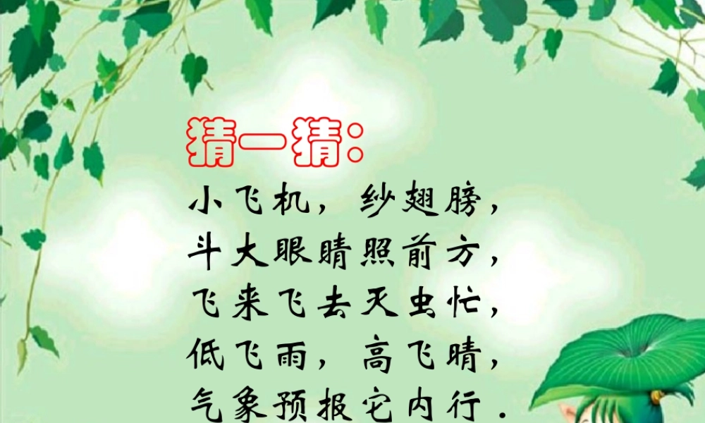 人教版二年级小学美术课件-《蜻蜓飞飞》课件1.ppt