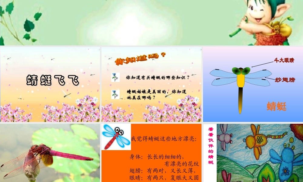 人教版二年级小学美术课件-《蜻蜓飞飞》课件1.ppt