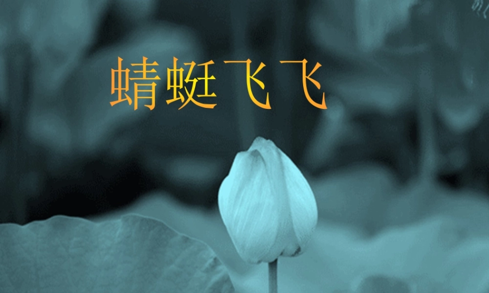 人教版二年级小学美术课件-《蜻蜓飞飞》课件2.ppt