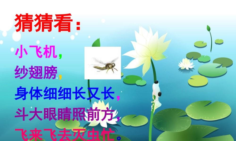 人教版二年级小学美术课件-《蜻蜓飞飞》课件3.ppt