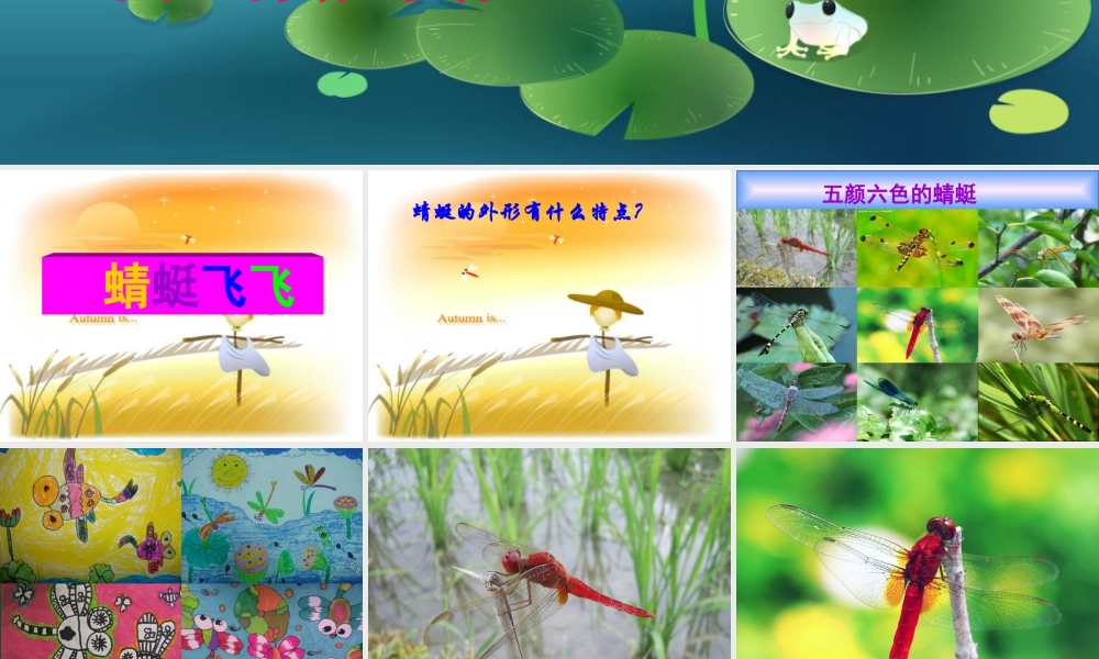 人教版二年级小学美术课件-《蜻蜓飞飞》课件3.ppt