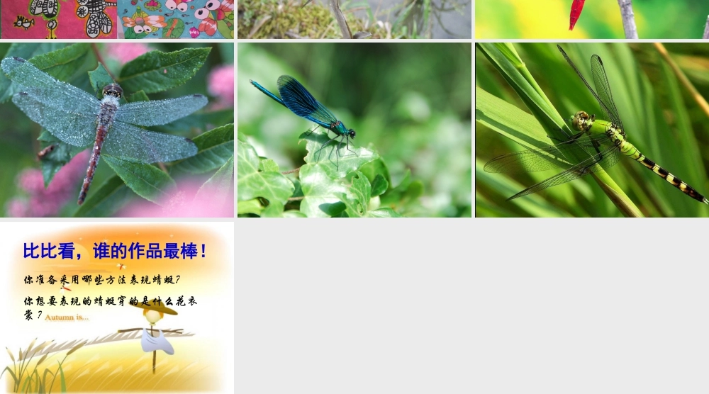 人教版二年级小学美术课件-《蜻蜓飞飞》课件3.ppt