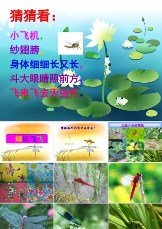 人教版二年级小学美术课件-《蜻蜓飞飞》课件3.ppt